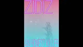 AN HONEST KILLER