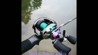 Proberos - Baitcasting Reel 10kg Drag Salt Water Fishing Reel - DW130