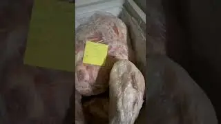 &Icirc;ncă un restaurant turcesc &icirc;nchis temporar de Protecția Consumatorilor Constanța: Oz Demir