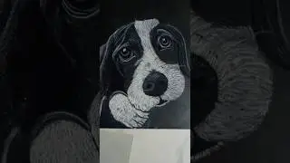 Drawing of a cute puppy.. #art #drawing #cutedog #puppydrawing #softpastel #negativespace #process