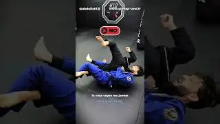 BJJ JJB - Berimbolo with Twister hook - Berimbolo avec Twister hook