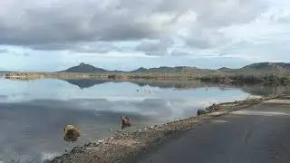 Gotomeer Flamingos