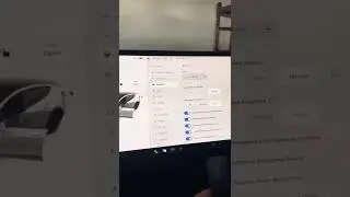Turning on Green light Chime in Tesla model Y