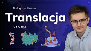 Translacja od A do Z