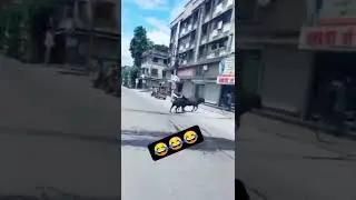 ISSE KAHTE HAI KHAYA PIYA KUCH NAHI GLASS TODA BARAH ANNA