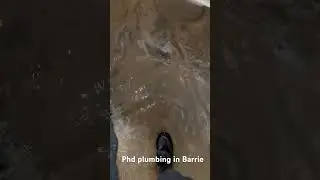 SUMP PUMP replacement in barrie flood basement #sumppump #plumber #plumbing #flood #emergency