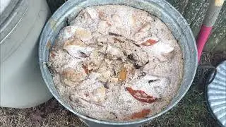 神速腐熟，只加一物，落叶堆肥，杠杠地。