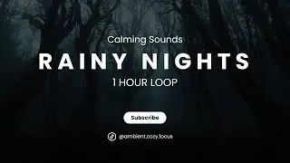 Cozy Ambient Rainy Nights