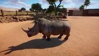 11 hours of Southern White Rhinoceros | Planet Zoo Animals