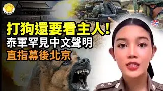 🐕&zwj;🦺☠️打狗還要看主人？泰軍罕見中文聲明 直指幕後北京；🌋⚡ 洪森突變 歇斯底里；🌍💣 攪動世界：跨國＋武裝 普通流氓團伙真做不到【阿波羅網】