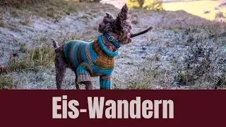 Wandern mit Hund in Italiens Bergen | Freiheit, Natur & Apportierspaß | Hunde Vlog 3