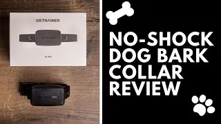 Petoffers B1 Pro and B1 Dr Trainer Dog Barking Collar Review