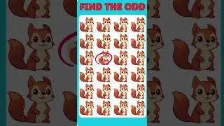 Find The Odd # 59 | #quizify #findoddoneout #quiz #reels #shortvideo #viralvideo #virl #ytshorts #yt