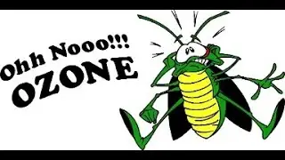Pest Control Gold Canyon AZ: 3 Top Pests Of 2019 (480-493-5028) Ozone Pest Control