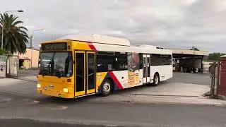 Buses at Newton 2