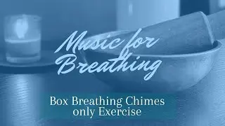 Daily Breathing Exercise for Beginners: Guided Box Breathing Meditation 15 cycles of practice.