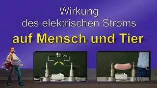 Wirkung des elektrischen Stroms auf Mensch und Tier - Experimente mit Elektrizit&auml;t aus der Steckdose