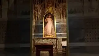 2017 N.Y. SA  PATRICK'S CATHEDRAL  