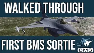 Прохожу свой первый вылет на BMS (школа импровизированных полетов)