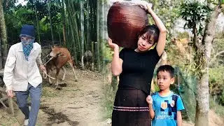Single mom-makes wine to sell.Bad guy breaks in and steals a cow.What should single mother do next?