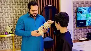 World smallest breed ka puppy gift Kia subhan ko