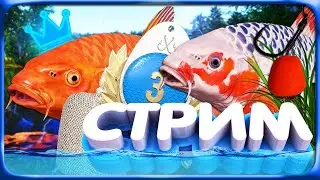 РР4 СТРИМ • ПОСЛЕДНИЙ СТРИМ В 2025 ГОДУ! • ВСЕХ с НАСТУПАЮЩИМ НГ 2026!