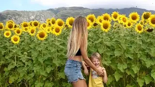 our homeschool adventures living in hawaii