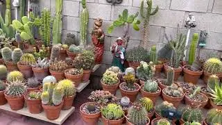 Kay's Garden Tour - September 2022