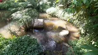 Leela palace 5star hotel in bangalore. #videos 