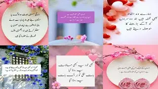 Urdu Quotes 😥😥😥|| Amazing quotes collection || Gahri baten quotes status video|| aqwal e zareen 