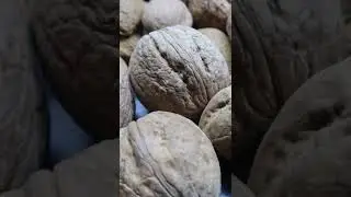 Comer 1 noz por dia faz isso no seu corpo | Quais s&atilde;o os benef&iacute;cios das nozes?