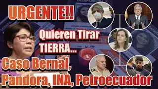 URGENTE: Quieren echar tierra a casos emblem&aacute;ticos corrupci&oacute;n - Bernal - INA, PANDORA - Petroecuador