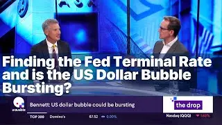 Finding the Fed Terminal Rate... and is the US Dollar Bubble Bursting?