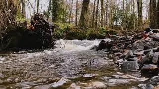 Porter Brook, Sheffield (Slow Motion Water ASMR)