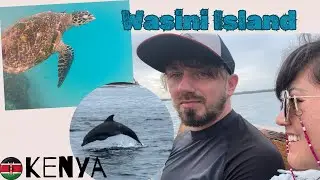 Wasini Island- jak wygląda wycieczka z polowaniem na delfiny