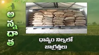 Pest Free Storage of Rice