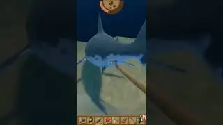 Fight with Shark #raft #shark #shorts