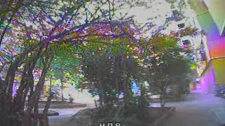 BWHOOP 75 #001
