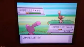 Laporeille shiny 9 769 rencontres