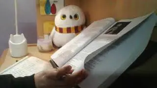 Study With ME | Rain Sounds | Pomodoro 50-10 | Calm Focus Session