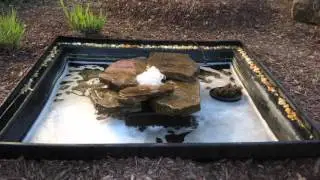 Springtime Tranquility