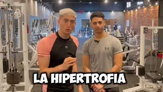 Metodolog&iacute;as del entrenamiento de la HIPERTROFIA. ft. Vivifit | Valent&iacute;n M&uuml;ller.