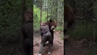 Fighting with Bear #bear #fight #wildlife #wrestling @PetZoo840