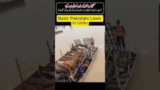 Pakistan Flood 2025: Sialkot Devastation Uncovered