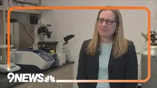 Colorado School of Mines professor creates gel to better heal wounds, burns