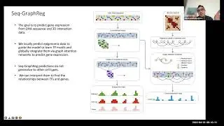 GraphReg: chromatin interaction aware gene regulatory modeling with graph attention networks