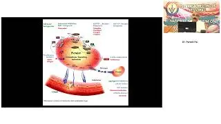 Dr. Paresh Pai - Thrombosis & Anticoagulation after Drug Elution