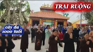 TRẠI RUỘNG: