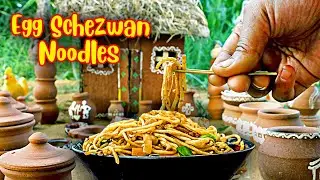 अंडा शेजवान नूडल्स Egg Schezwan Noodles Miniature Cooking Indian Street Food Farm Noodles Recipe
