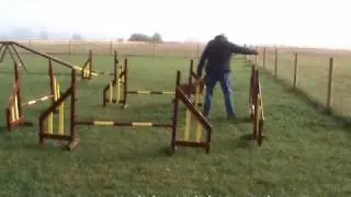Joy & Darcie.wmv